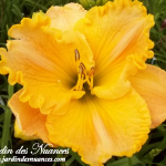 America's Most Wanted