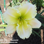 Ednat Lankart Memorial