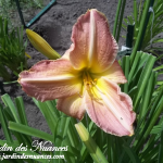 George Caleb Bingham