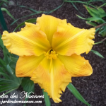 Handsome Ross Carter