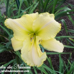 Howard Dillon Brooks