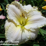 Knights In White Satin