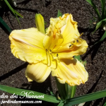 Marie Hooper Memorial