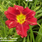 Siloam Cherry Chimes