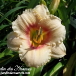 Siloam Virginia Henson