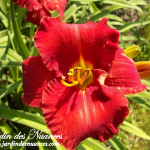 Spacecoast Hot Topic