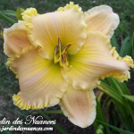 Spacecoast Passion Released