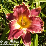 Spacecoast Royal Ransom