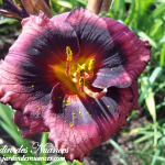 Spacecoast Technical Knock Out