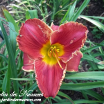 Torrid Tango