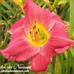 Vera Biaglow