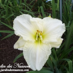 White Temptation