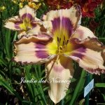 Eenie Meenie Jellybeany